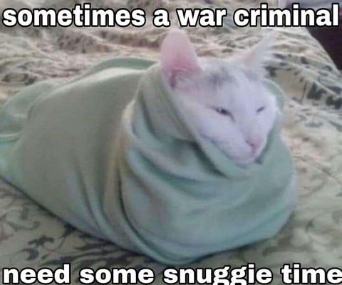 sometimes a war criminal need some snuggie time