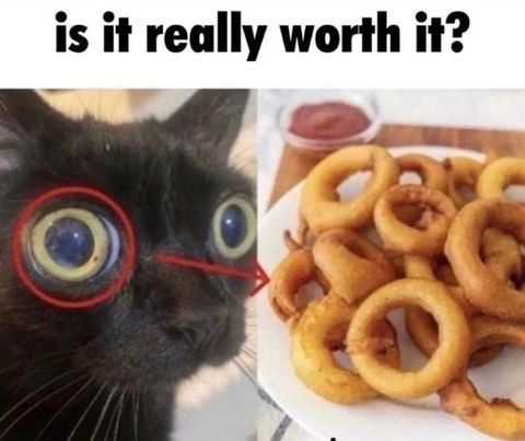 is it really worth it?