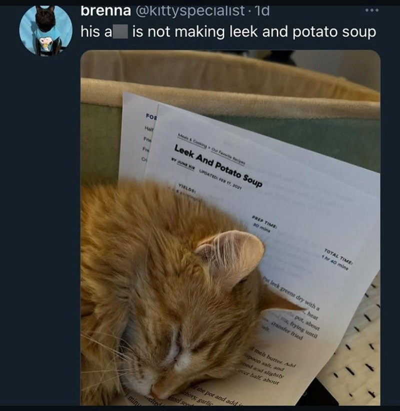 brenna @kittyspecialist . 1d his a is not making leek and potato soup FOR Half Fre Fre Mesis&Cosing Our Favorite Recipes Leek And Potato Soup BY JUNE XIE UPDATED: FEB 17, 2021 YIELDS PREP TIME 30 mins TOTAL TIME: 1hr 40 mins Pat leek greens dry with a heat sta frying until pot, about transfer fried melt butter. Add spoon salt, and hed and slightly over half about min elted el the pot and add chovy garlic nel see