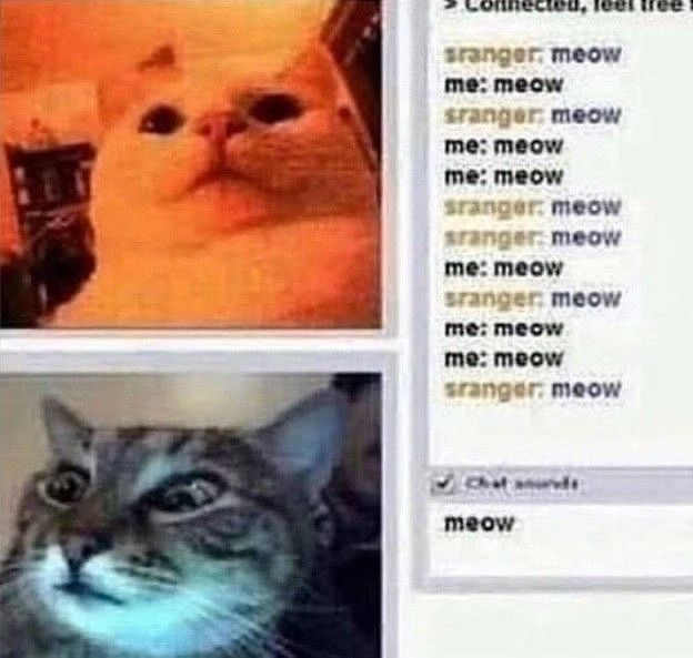 sranger, meow me: meow sranger: meow me: meow me: meow sranger: meow sranger: meow me: meow sranger: meow me: meow me: meow sranger: meow Chat meow