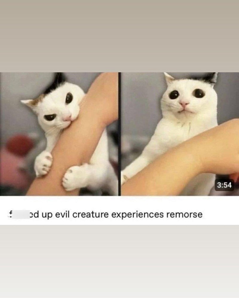 ed up evil creature experiences remorse 3:54