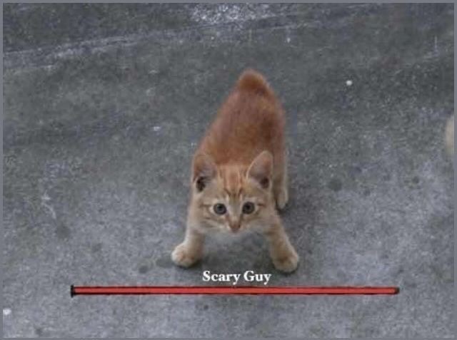 Scary Guy