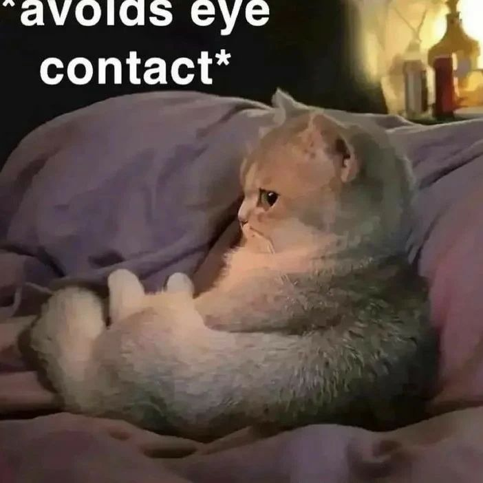 avolds eye contact*