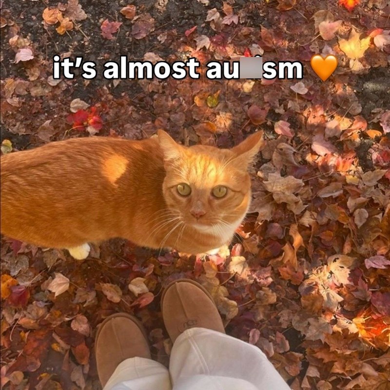 it's almost au_sm