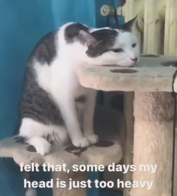felt that, some days my head is just too heavy