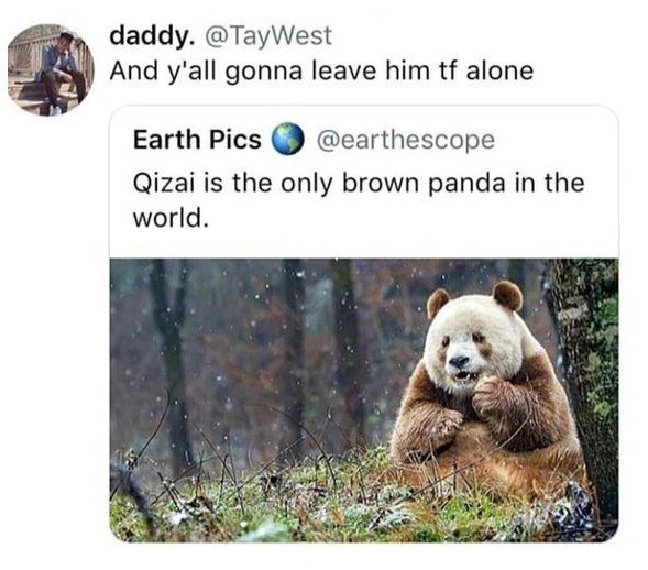 daddy. @TayWest And y'all gonna leave him tf alone Earth Pics @earthescope Qizai is the only brown panda in the world.