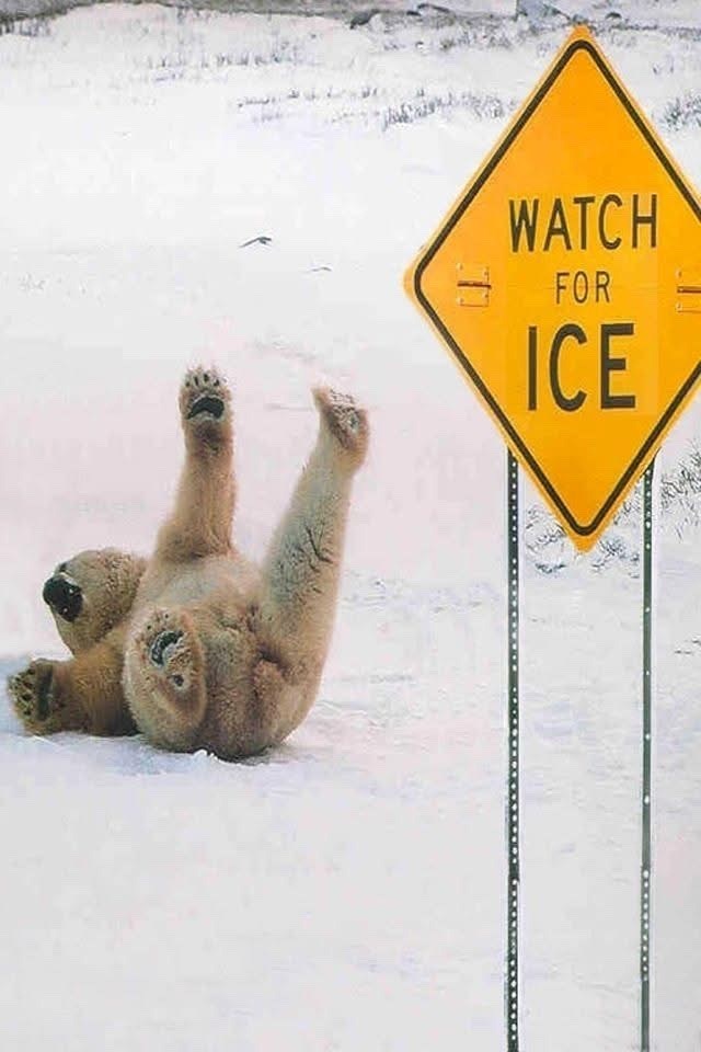 WATCH FOR ICE