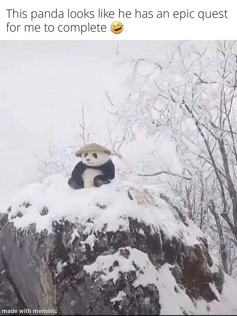 This panda looks like he has an epic quest for me to complete made with mematic