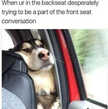 When ur in the backseat desperately trying to be a part of the front seat conversation