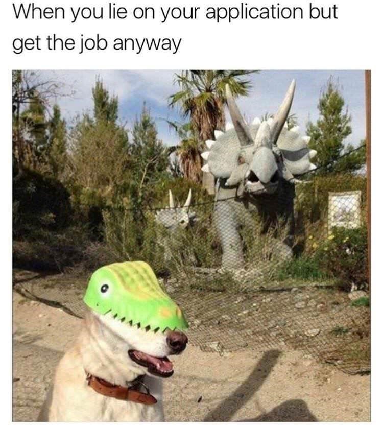 When you lie on your application but get the job anyway