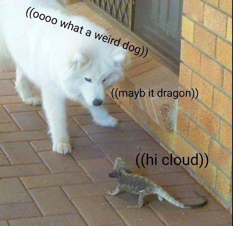 ((0000 what a weird dog)) ((mayb it dragon)) ((hi cloud))