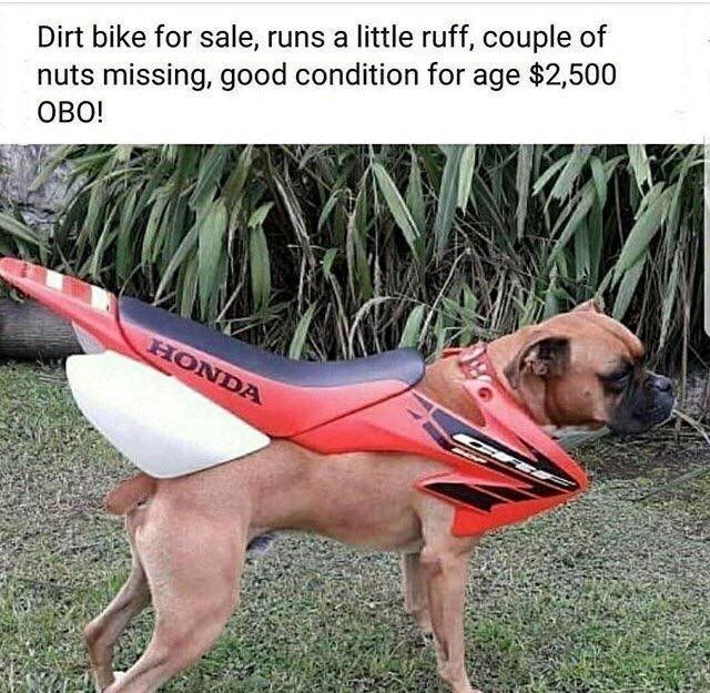 Dirt bike for sale, runs a little ruff, couple of nuts missing, good condition for age $2,500 OBO! HONDA