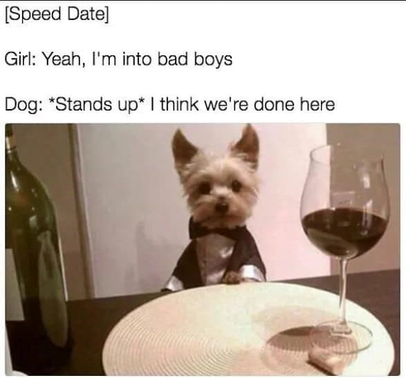[Speed Date] Girl: Yeah, I'm into bad boys Dog: *Stands up* I think we're done here