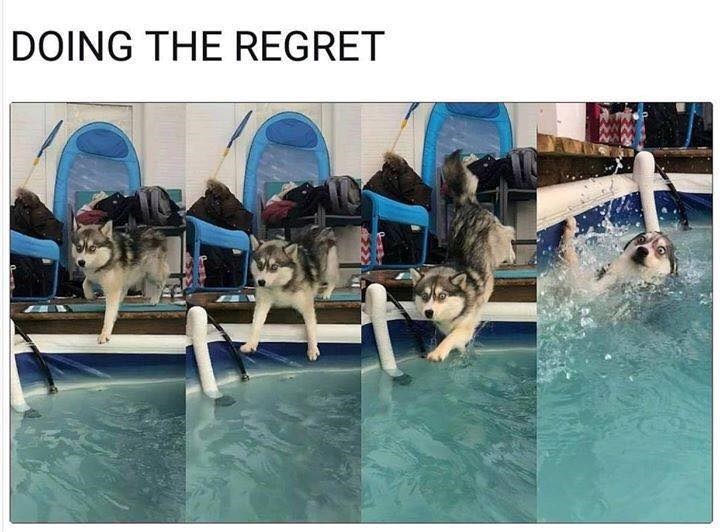 DOING THE REGRET