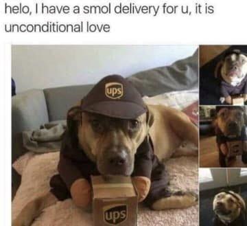 helo, I have a smol delivery for u, it is unconditional love ups ups