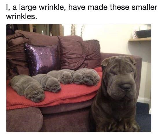 I, a large wrinkle, have made these smaller wrinkles.
