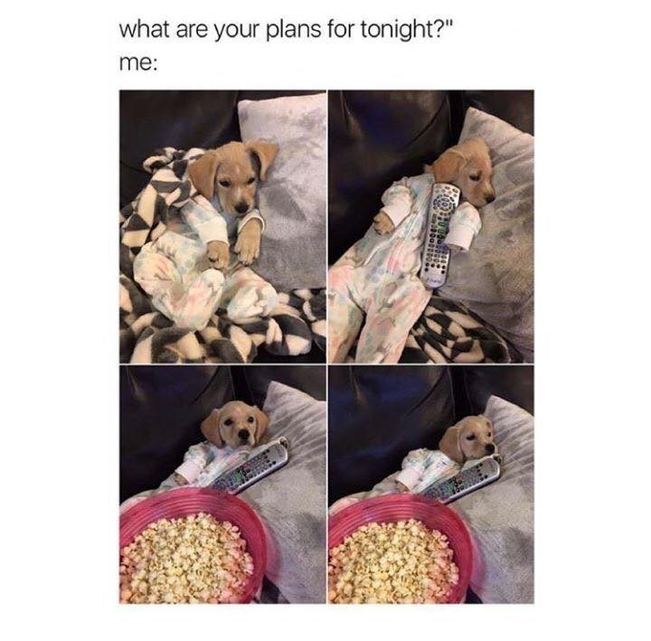 what are your plans for tonight?" me:
