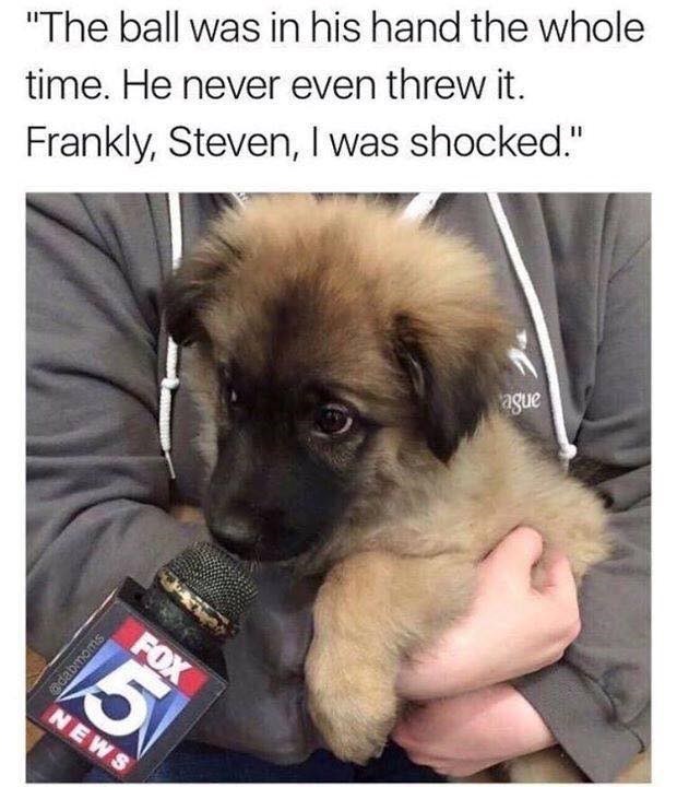 "The ball was in his hand the whole time. He never even threw it. Frankly, Steven, I was shocked." @dabmoms FOX 5 NEWS ague