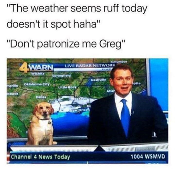 "The weather seems ruff today doesn't it spot haha" "Don't patronize me Greg" 4WARN Columbus LIVE RADAR NETWORK Wichita Springfield Nashville rillo Oklahoma City lotte Little Rock bbock Dallas New Orlea Channel 4 News Today 1004 WSMVD