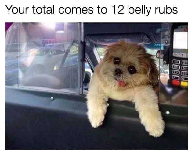 Your total comes to 12 belly rubs 10880