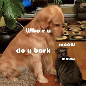 Who ru 0000 do u bork meow meow
