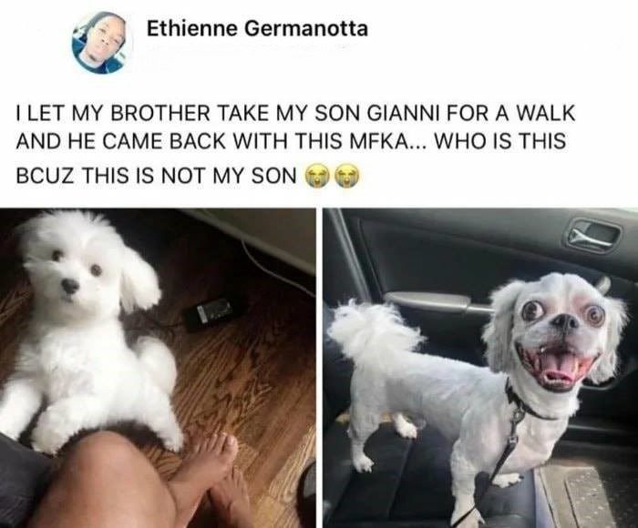 Ethienne Germanotta I LET MY BROTHER TAKE MY SON GIANNI FOR A WALK AND HE CAME BACK WITH THIS MFKA... WHO IS THIS BCUZ THIS IS NOT MY SON
