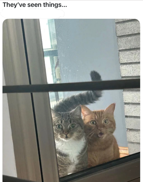 They've seen things...