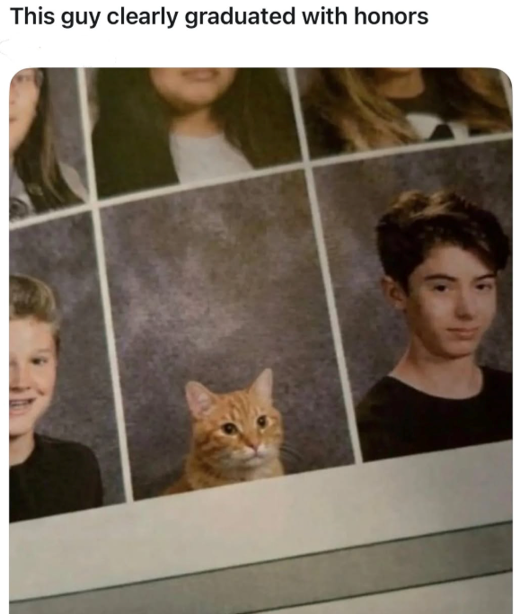 This guy clearly graduated with honors