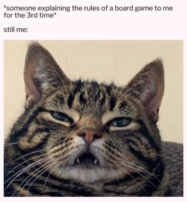 *someone explaining the rules of a board game to me for the 3rd time* still me: