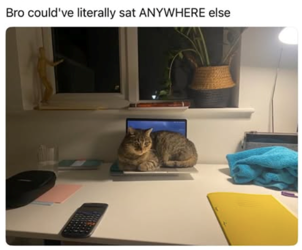 Bro could've literally sat ANYWHERE else