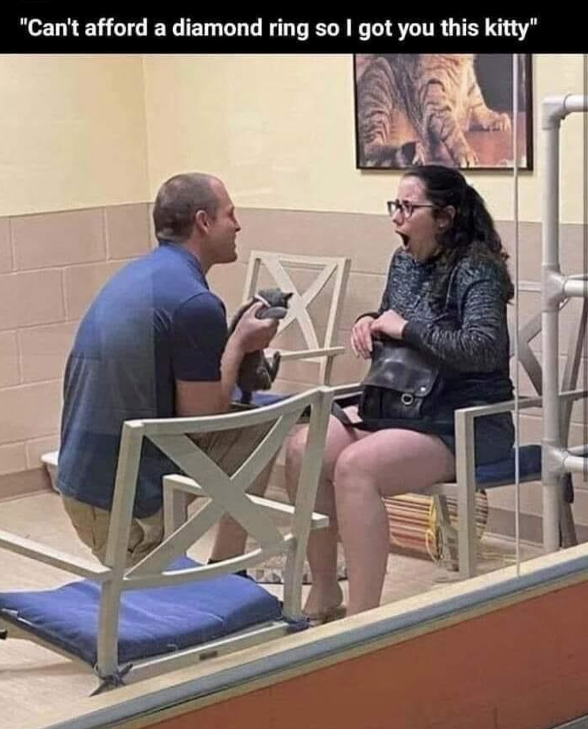 "Can't afford a diamond ring so I got you this kitty"