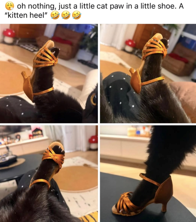 oh nothing, just a little cat paw in a little shoe. A "kitten heel"