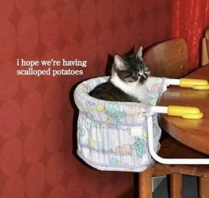 i hope we're having scalloped potatoes