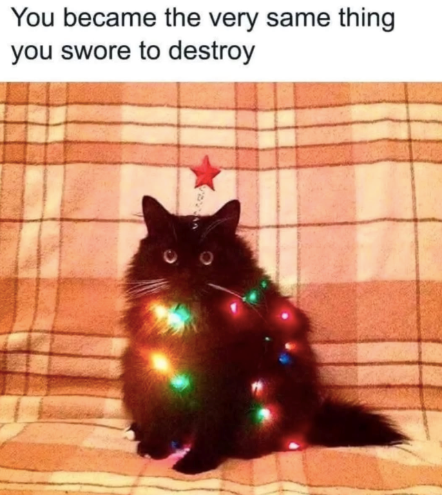 You became the very same thing you swore to destroy