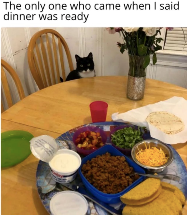 The only one who came when I said dinner was ready