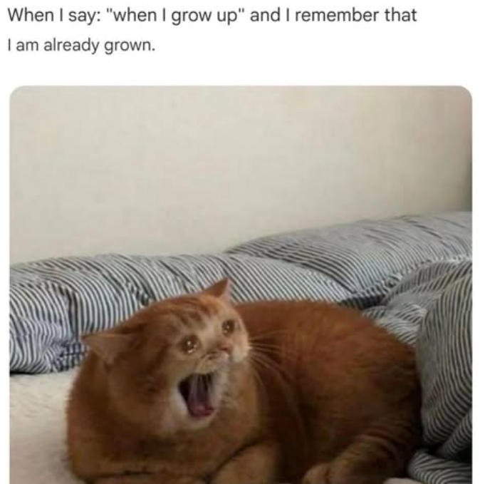 When I say: "when I grow up" and I remember that I am already grown.