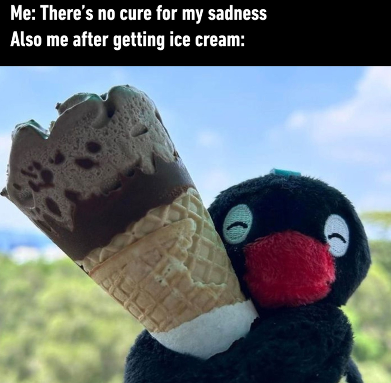 Me: There's no cure for my sadness Also me after getting ice cream: