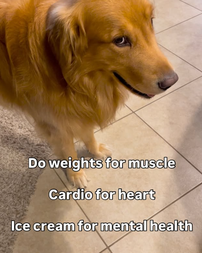 Do weights for muscle Cardio for heart Ice cream for mental health
