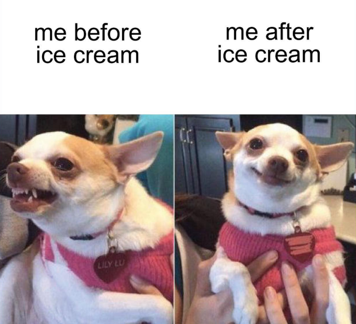 me before ice cream me after ice cream LILY LU