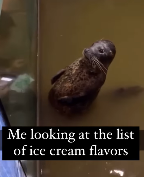 Me looking at the list of ice cream flavors