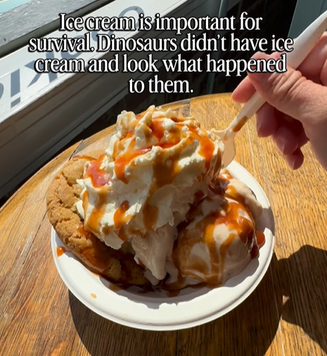Ice cream is important for Survival. Dinosaurs didn't have ice cream and look what happened to them.
