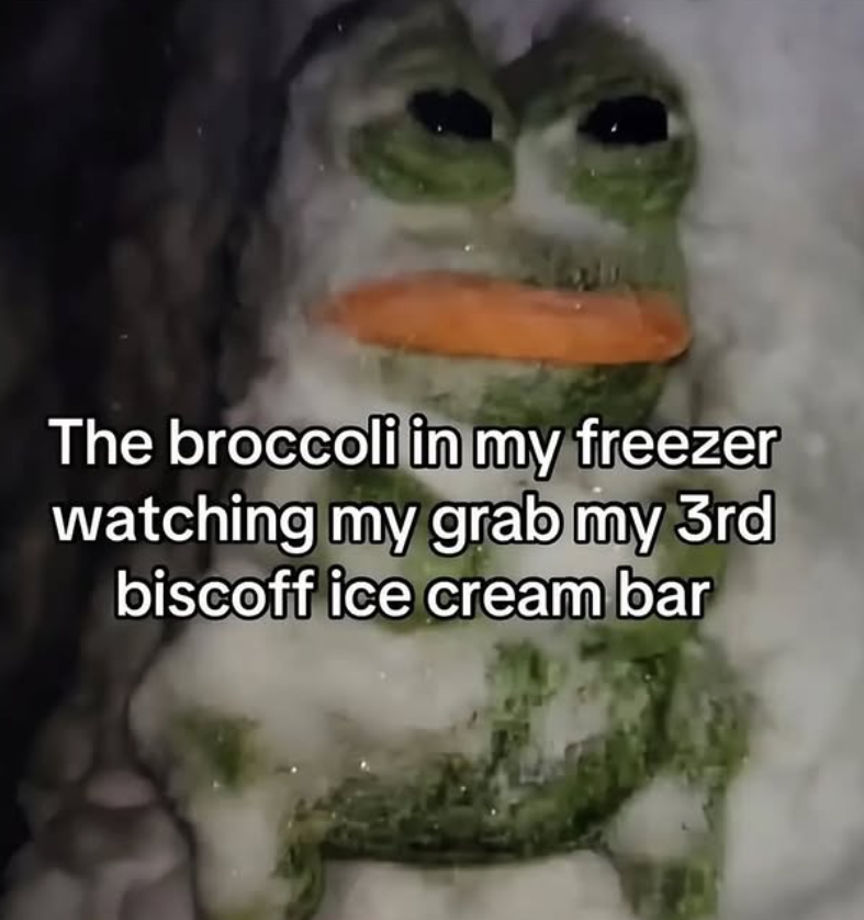 The broccoli in my freezer watching my grab my 3rd biscoff ice cream bar