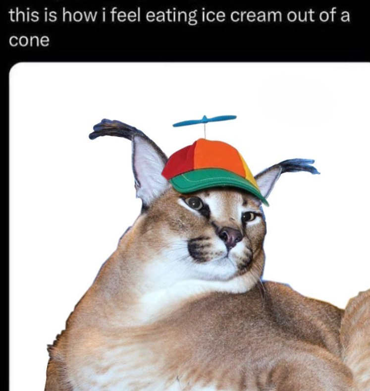 this is how i feel eating ice cream out of a cone
