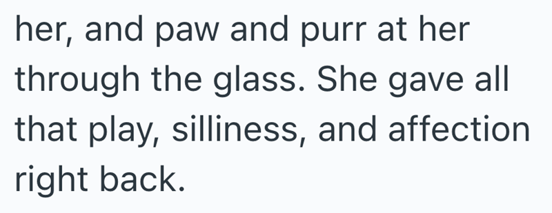 her, and paw and purr at her through the glass. She gave all that play, silliness, and affection right back.