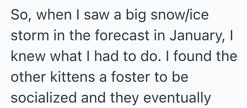 So, when I saw a big snow/ice storm in the forecast in January, I knew what I had to do. I found the other kittens a foster to be socialized and they eventually