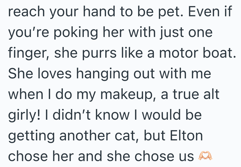 reach your hand to be pet. Even if you're poking her with just one finger, she purrs like a motor boat. She loves hanging out with me when I do my makeup, a true alt girly! I didn't know I would be getting another cat, but Elton chose her and she chose us