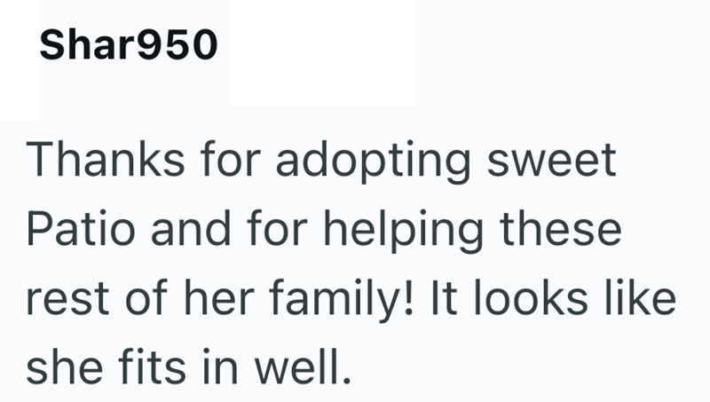 Shar950 Thanks for adopting sweet Patio and for helping these rest of her family! It looks like she fits in well.