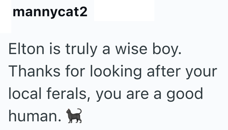 mannycat2 Elton is truly a wise boy. Thanks for looking after your local ferals, you are a good human.