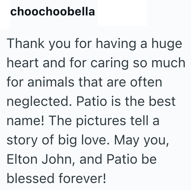 choochoobella Thank you for having a huge heart and for caring so much for animals that are often neglected. Patio is the best name! The pictures tell a story of big love. May you, Elton John, and Patio be blessed forever!