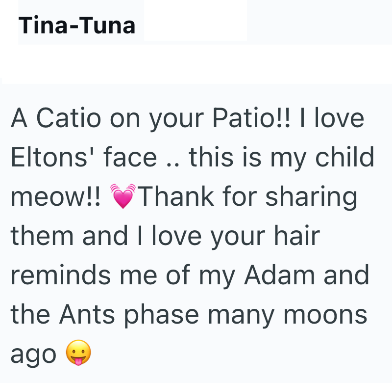Tina-Tuna A Catio on your Patio!! I love Eltons' face.. this is my child meow!! ♥Thank for sharing them and I love your hair reminds me of my Adam and the Ants phase many moons ago